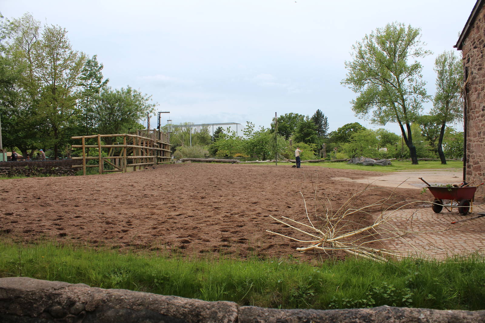 Giraffe paddock - 30 May 2015