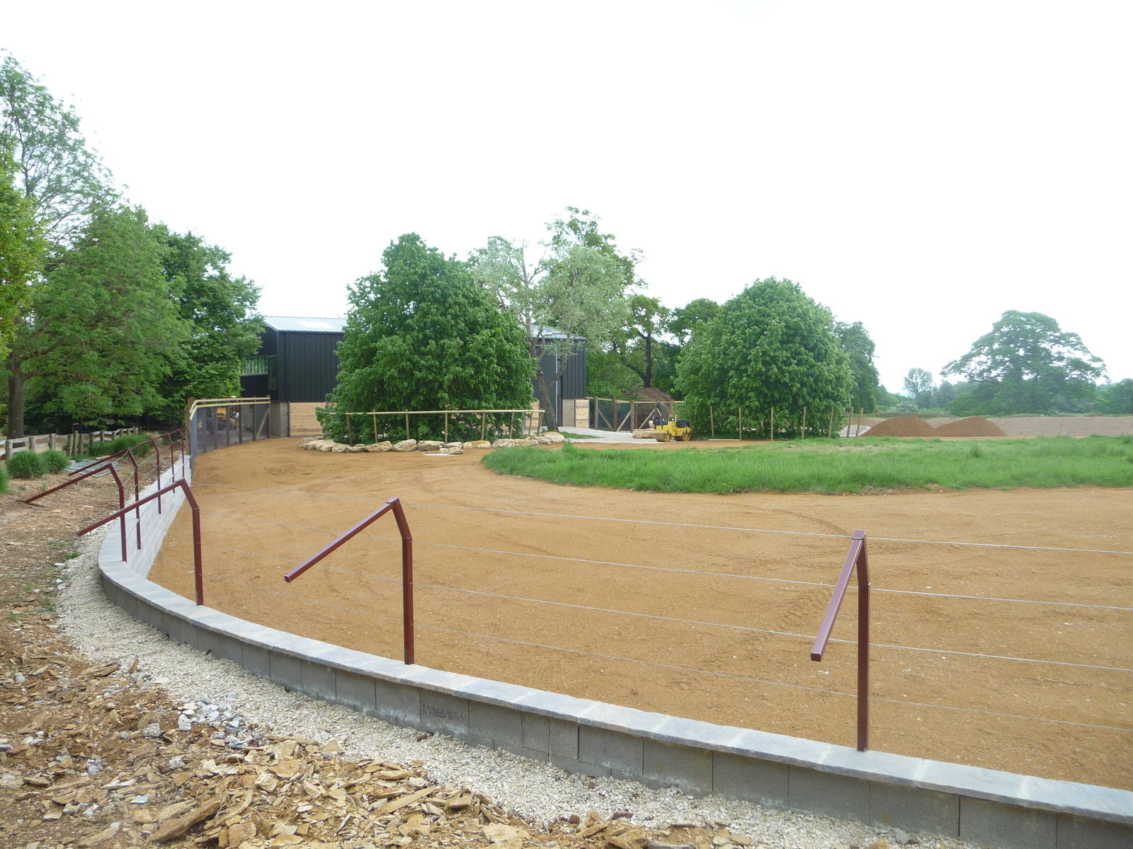 Giraffe paddock at Cotswold WP 21/05/10