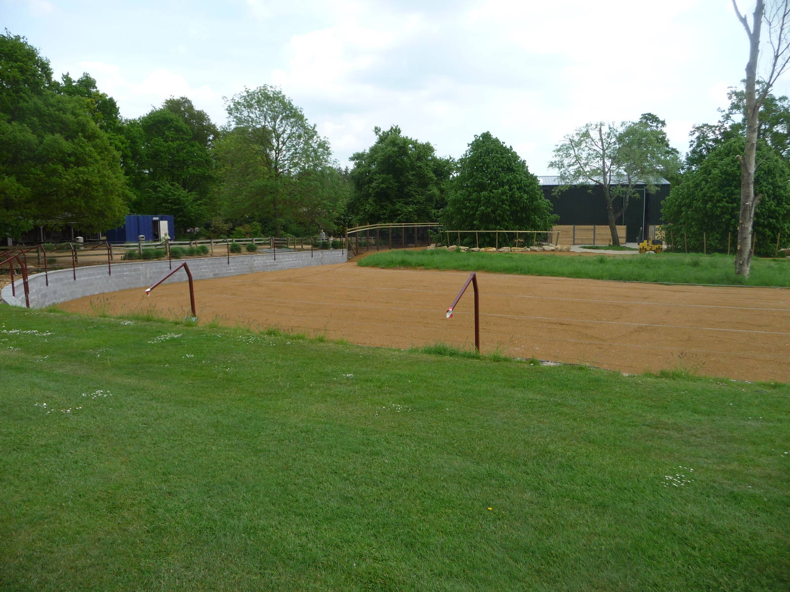 Giraffe paddock at Cotswold WP 21/05/10