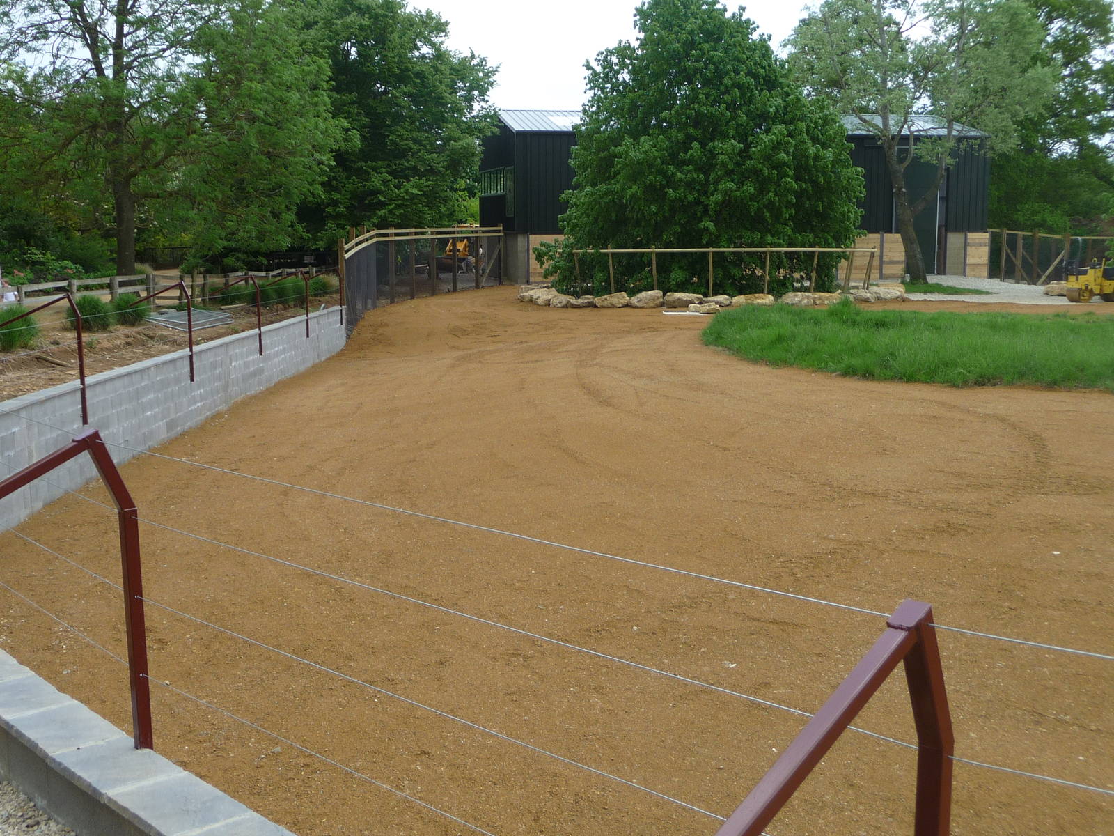 Giraffe paddock at Cotswold WP 21/05/10