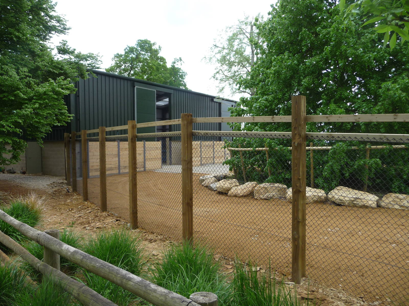 Giraffe paddock at Cotswold WP 21/05/10