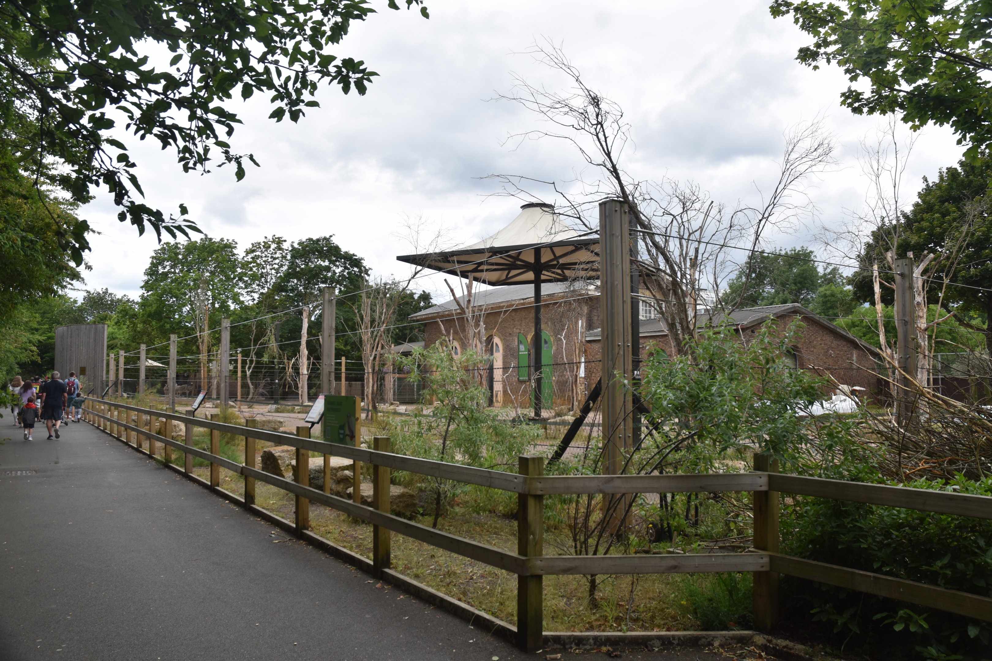 Giraffe Paddock at London, 22nd June 2024