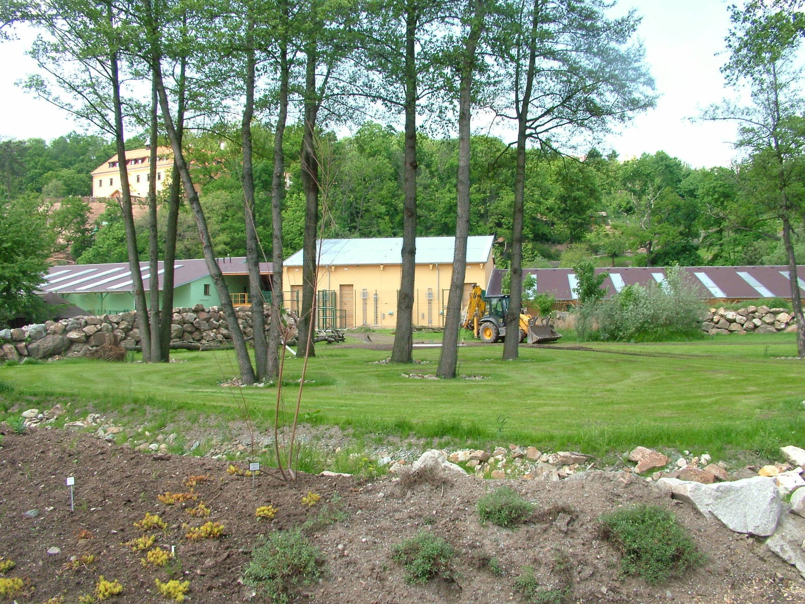 Giraffe paddock at Plzen, 25/05/10