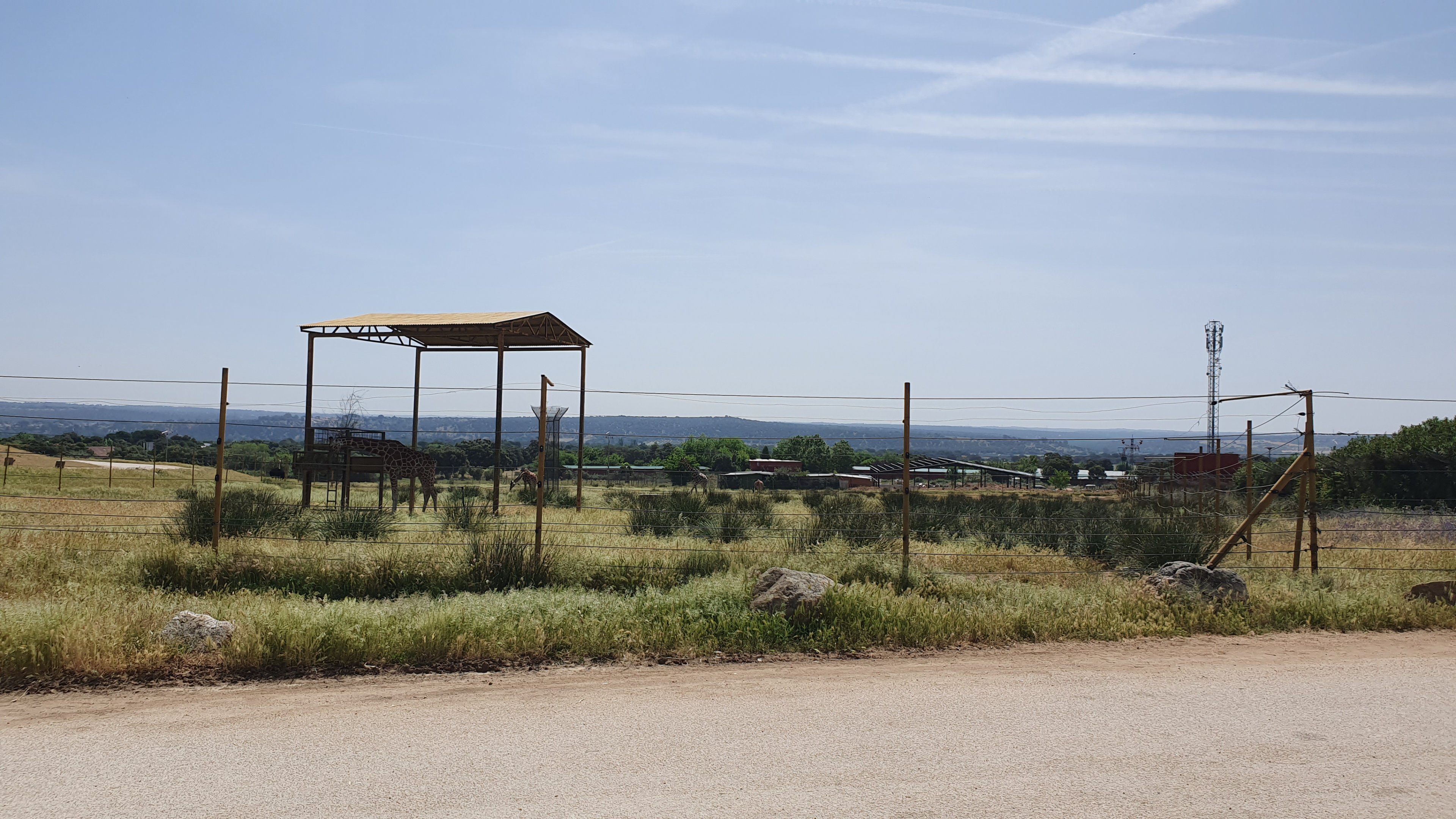 Giraffe Paddock at Safari Madrid, 19th May 2022