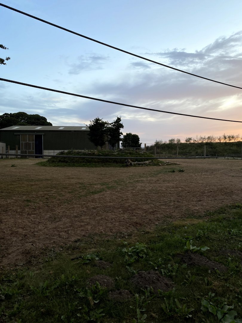 Giraffe paddock & house