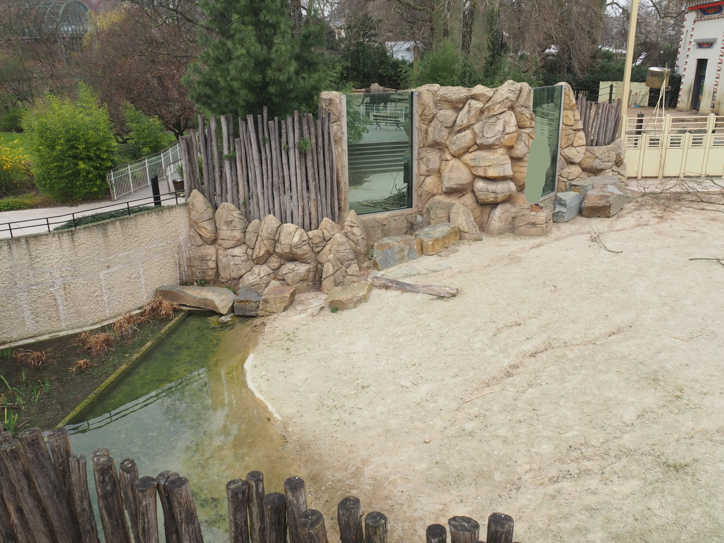 Giraffe paddock pond and viewing windows, 2022-03-16