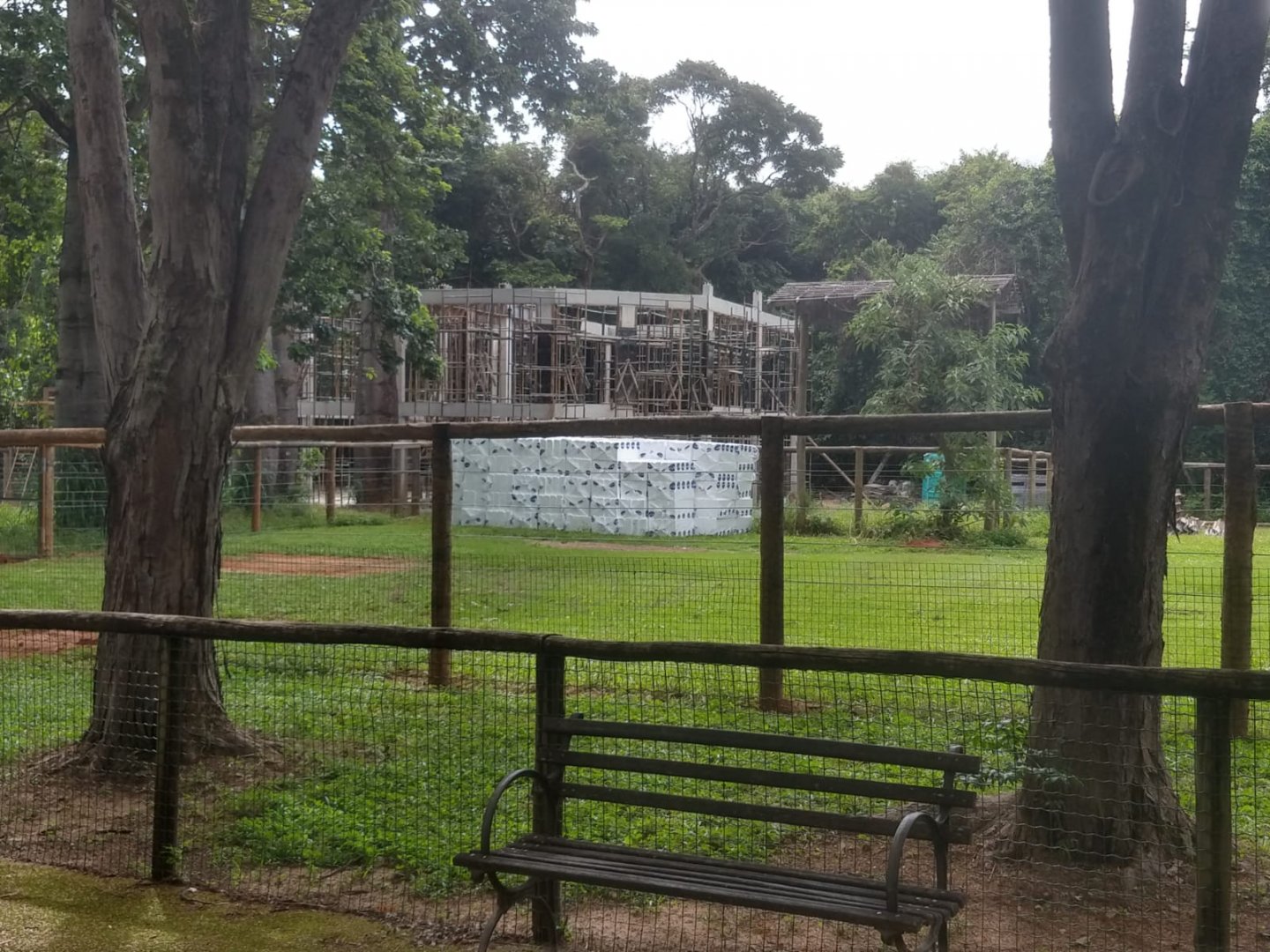 Giraffe paddock under construction - Belo Horizonte zoo