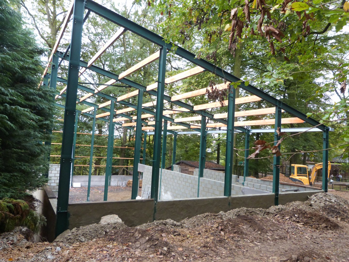 Giraffe - Parc animalier de Bouillon