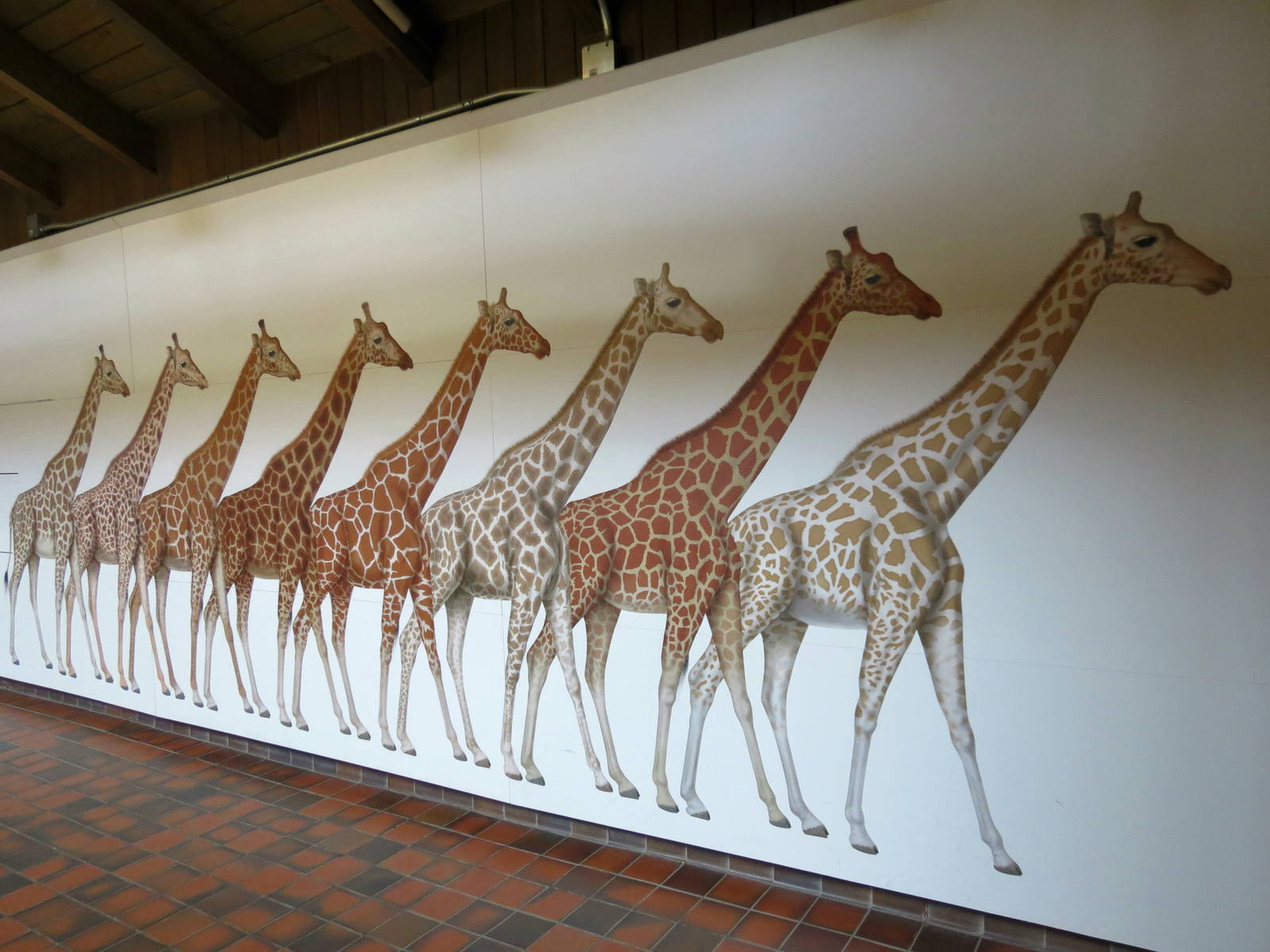 Giraffe Patterns Part 2 of 2