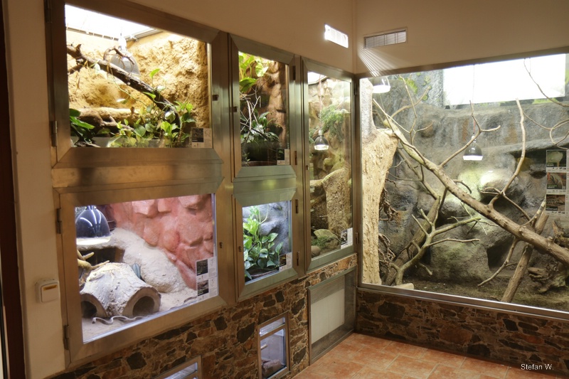 Giraffe Pavillon - new reptile settings