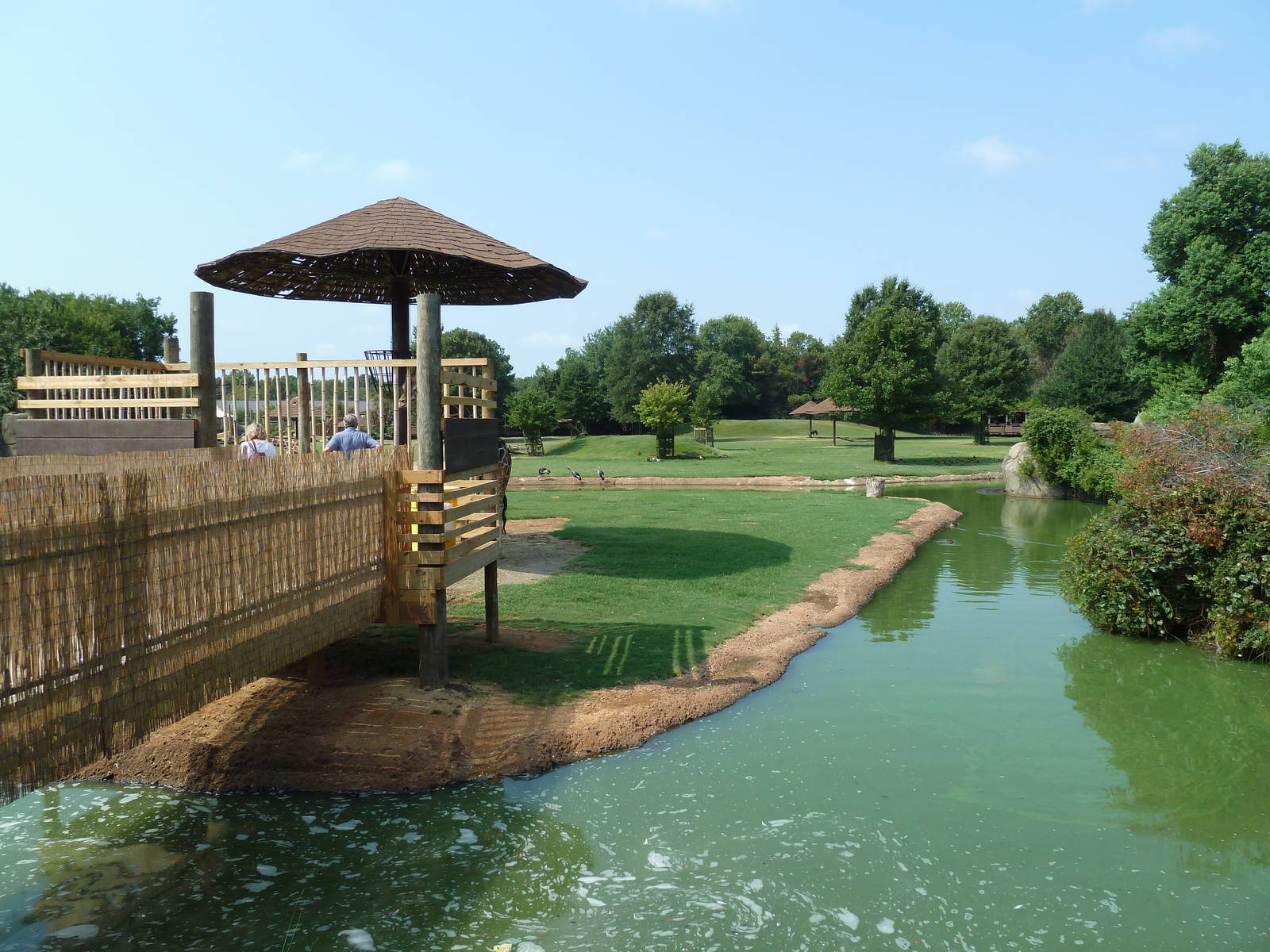 Giraffe/Pygmy Hippo/Ground Hornbill Exhibit