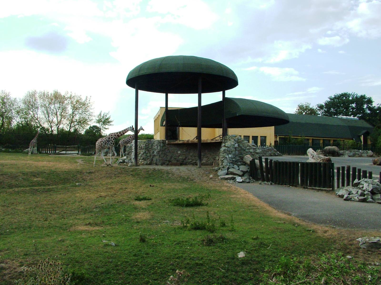 Giraffe/Rhino/Antelope House at Usti, 29/08/12