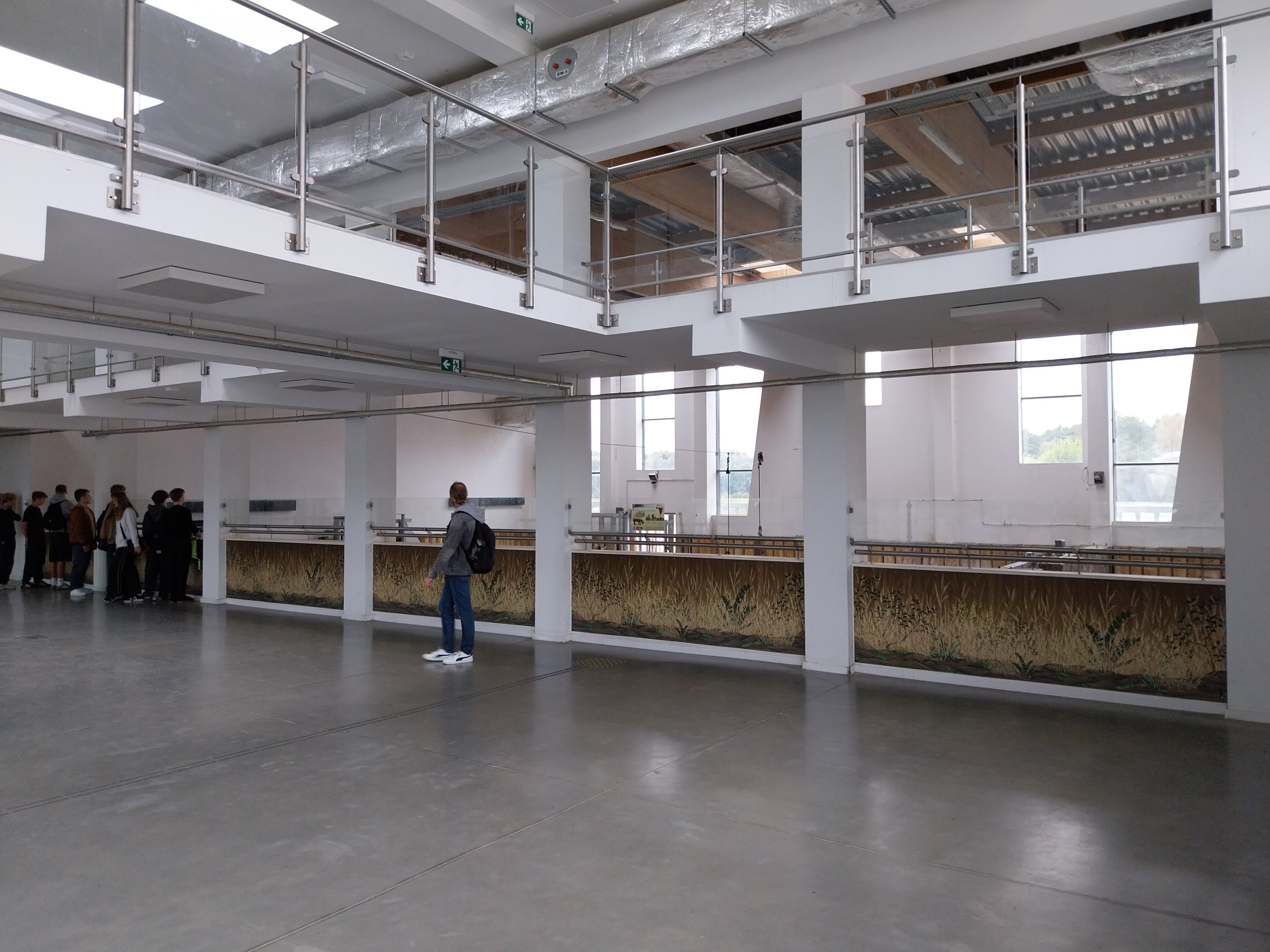 Giraffe & Rhino Building - Eastern Black Rhino (Diceros bicornis michaeli)