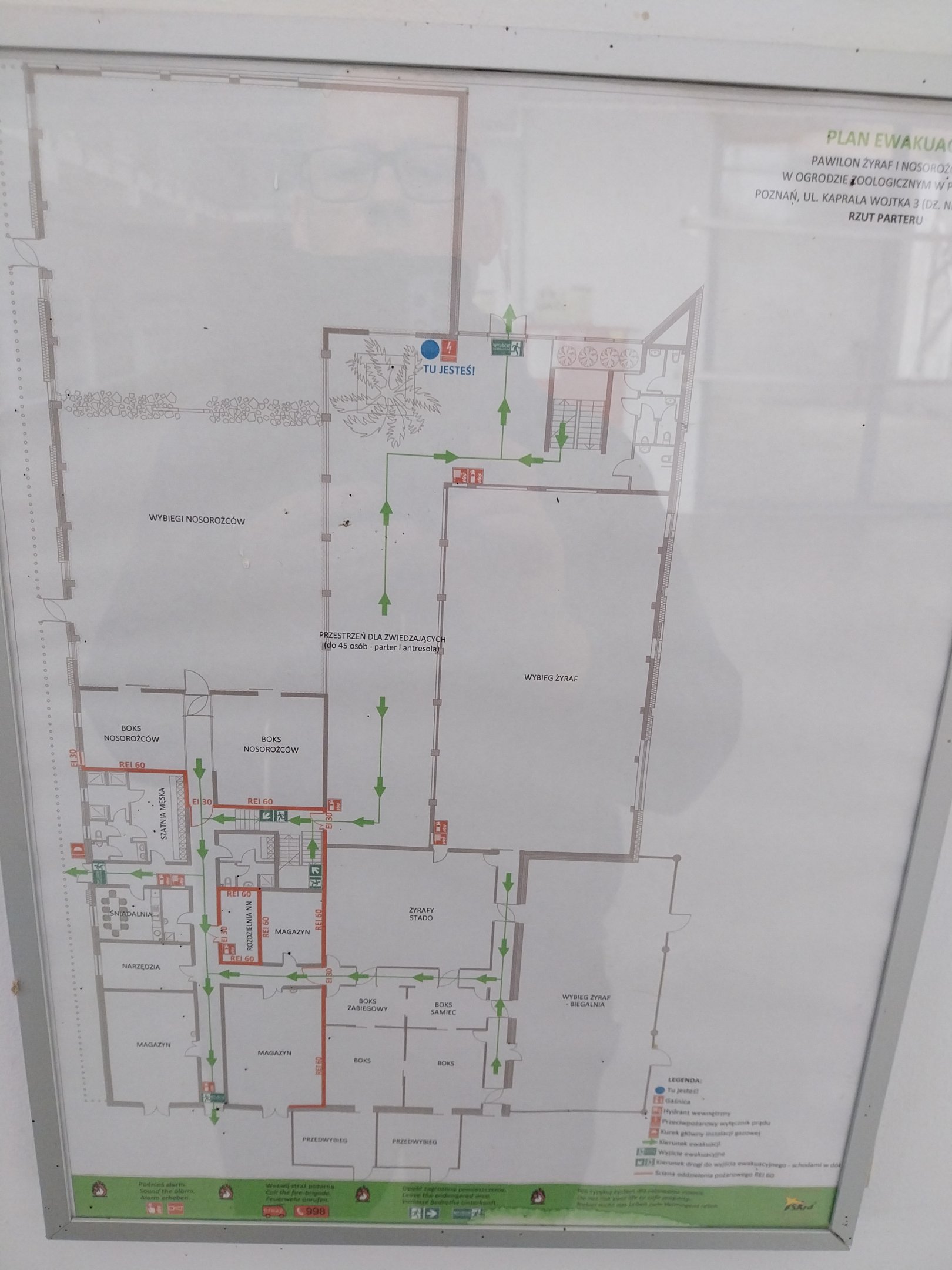 Giraffe & Rhino Building - Floor plan