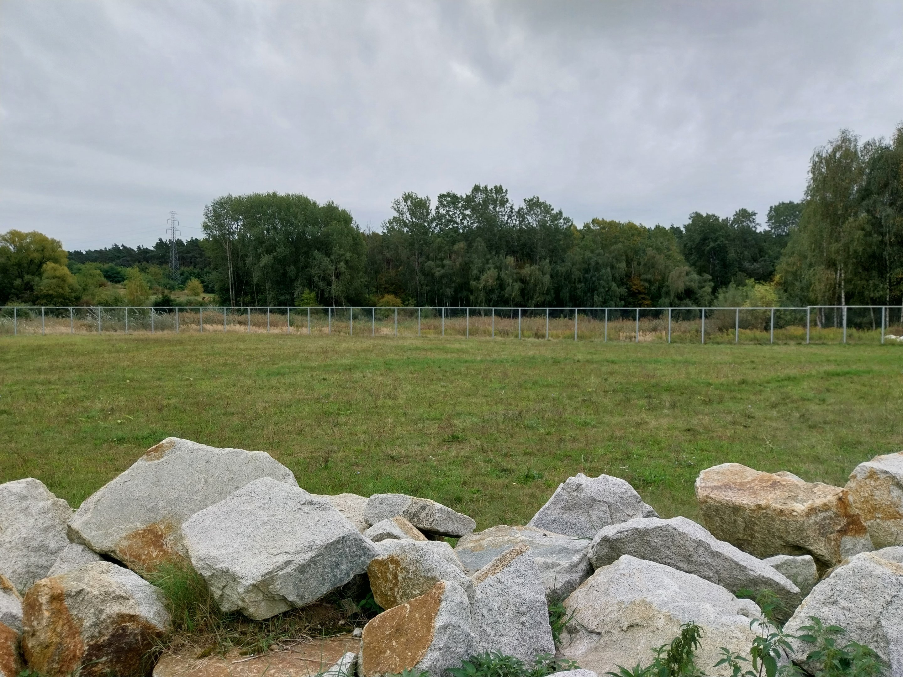 Giraffe & Rhino Building - Rothschild's Giraffe (Giraffa camelopardalis rothschildi)