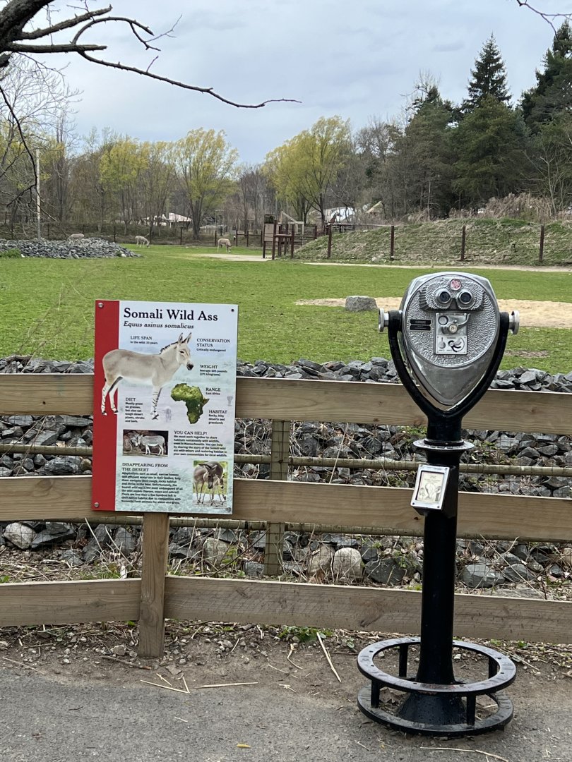Giraffe Savanna (with Somali Wild Ass signage)
