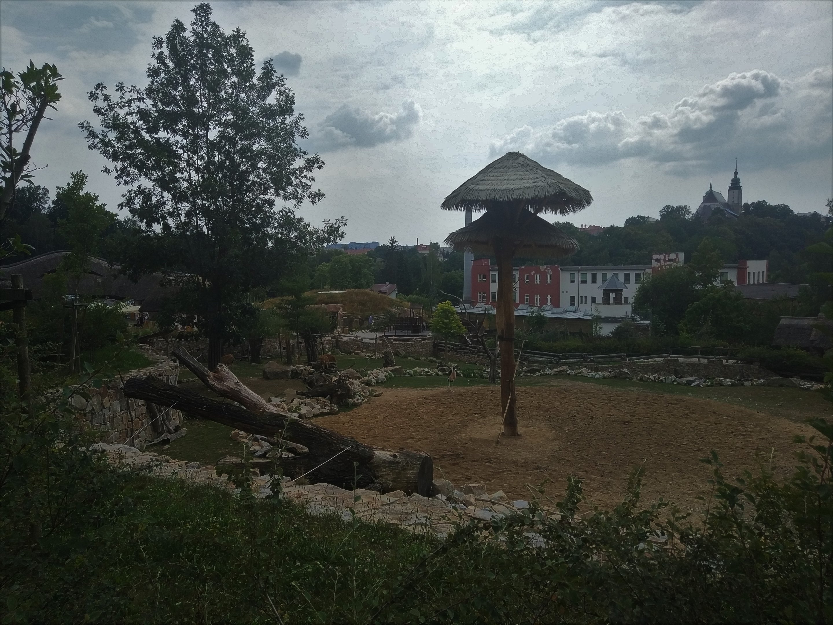 Giraffe/Savannah Exhibit