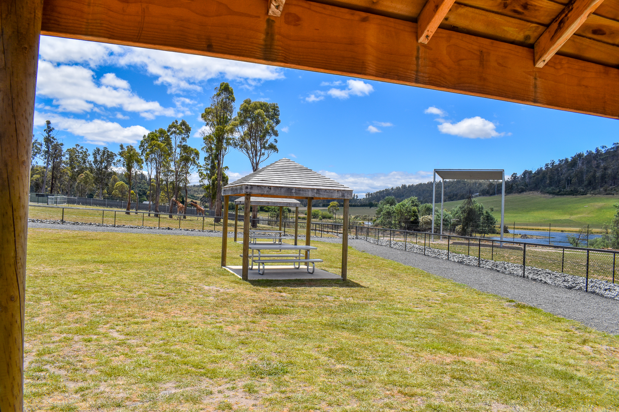 Giraffe Seating Area/Viewing