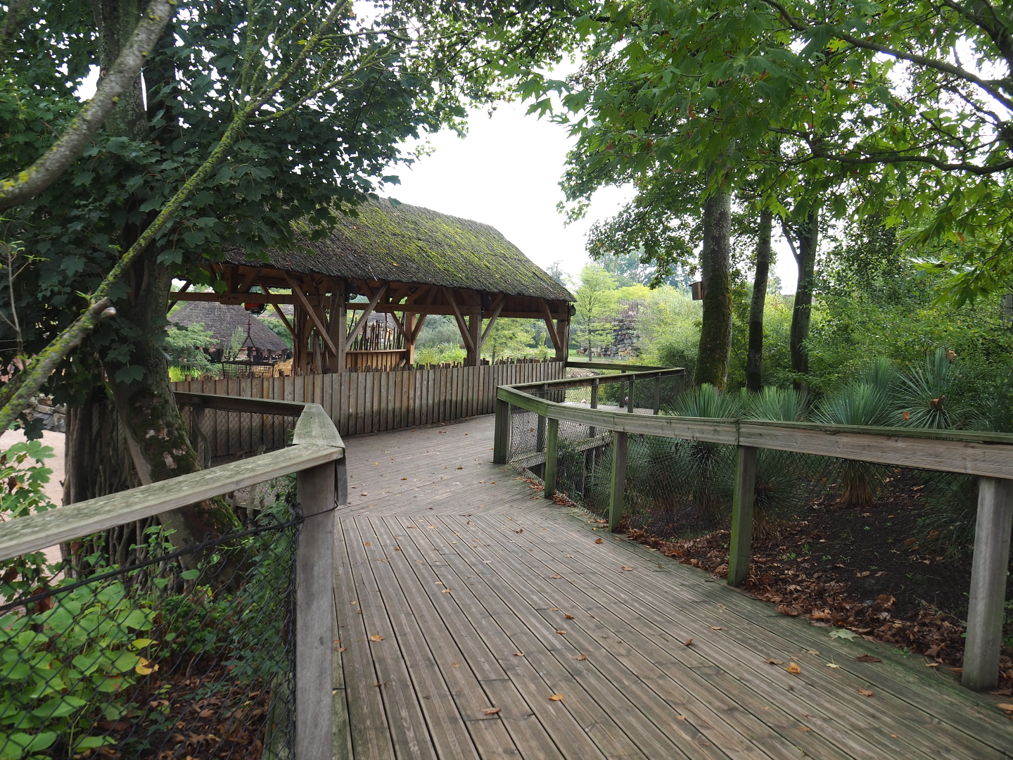 Giraffe shelter viewing area, 2022-09-15