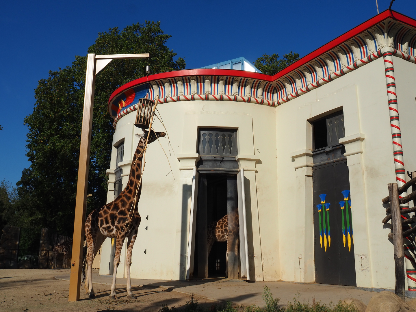 Giraffe side of the Egyptian Temple, 2020-09-20