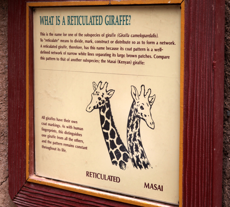 giraffe sign, July 6, 2013