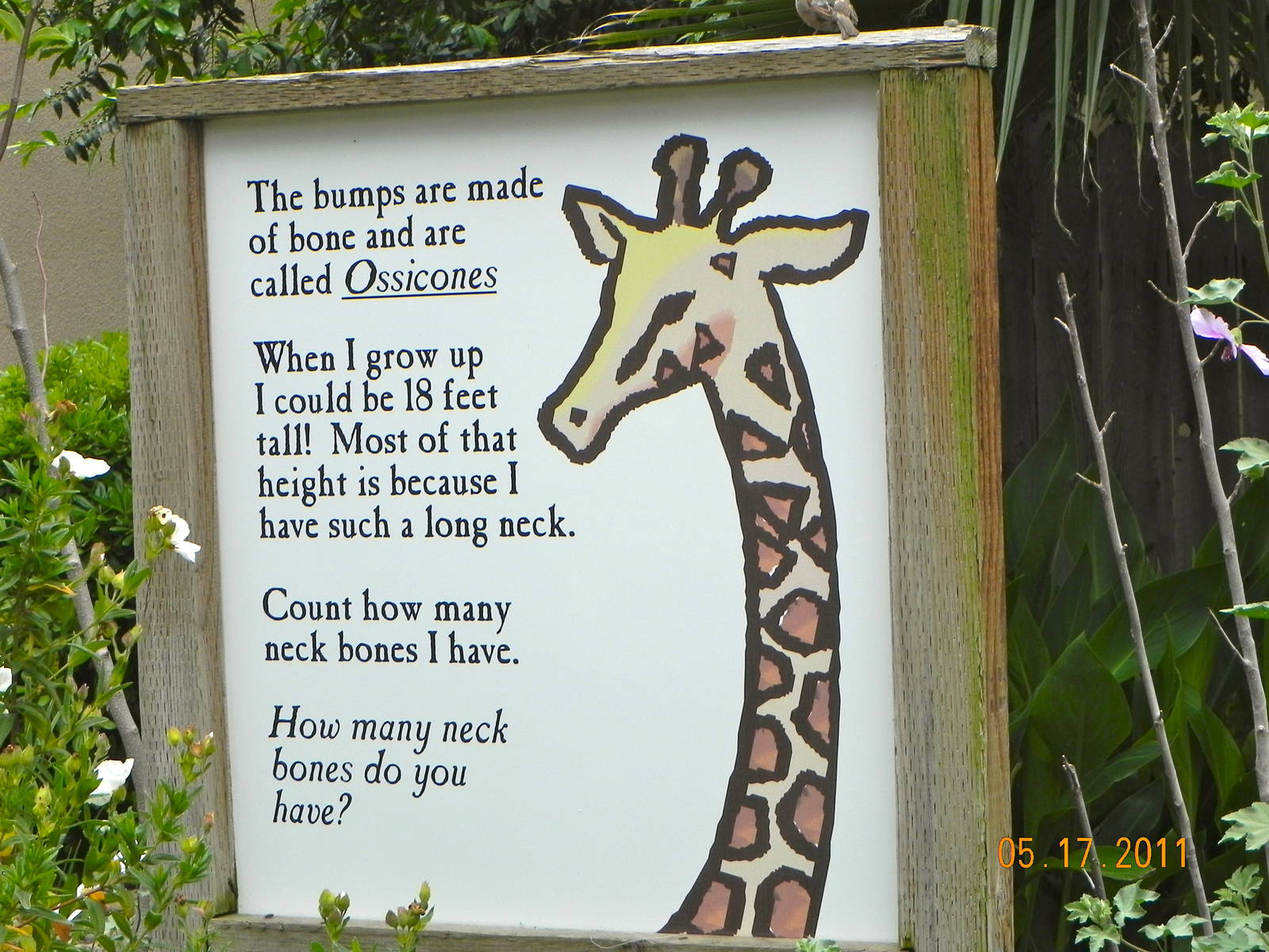 Giraffe sign
