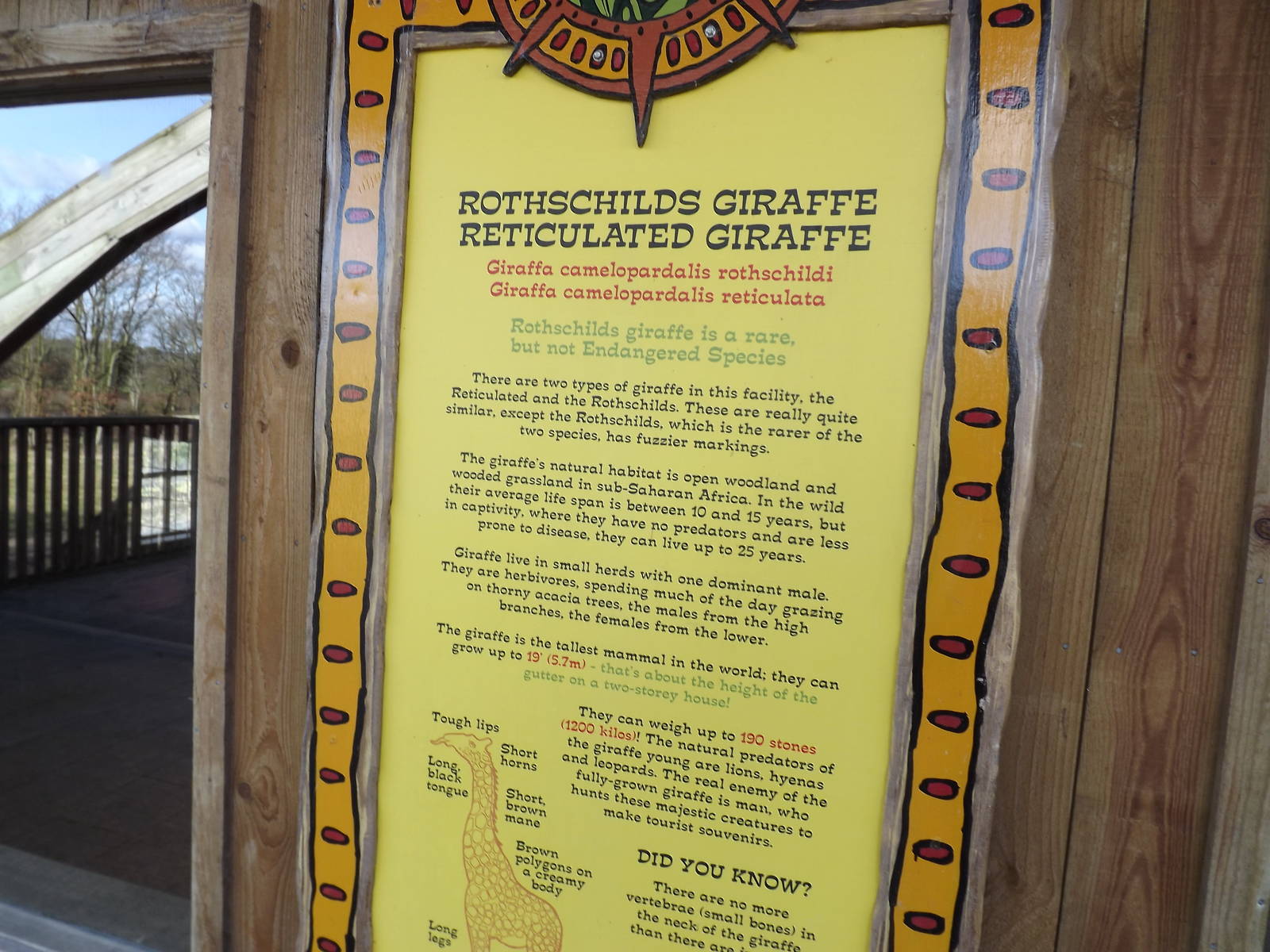 Giraffe signage at Flamingoland 19/02/12