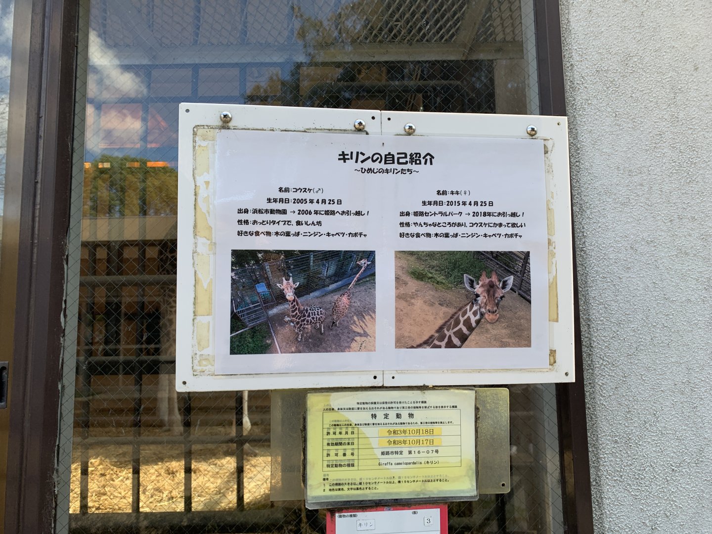 Giraffe Signage (Himeji City Zoo)