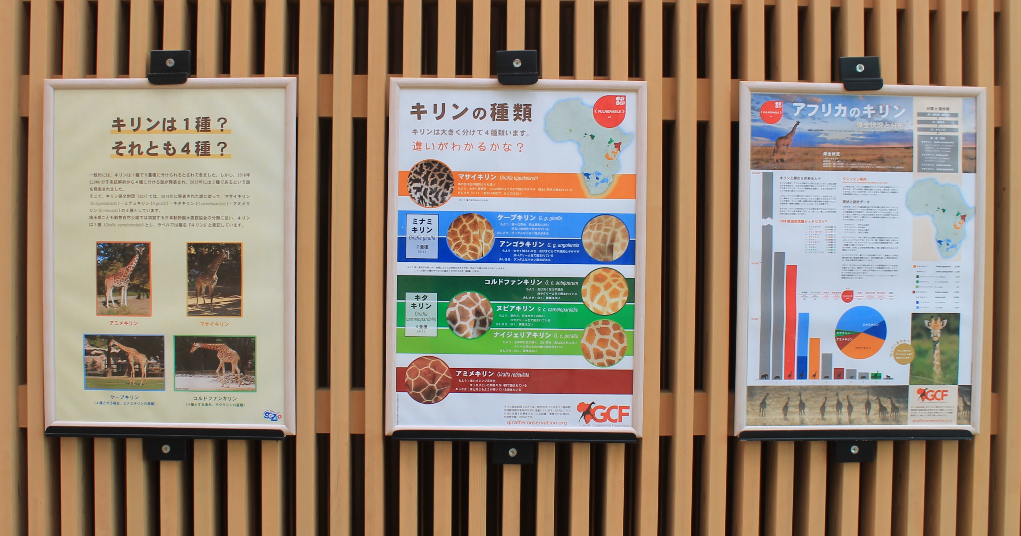 Giraffe signage - Saitama Childrens Zoo