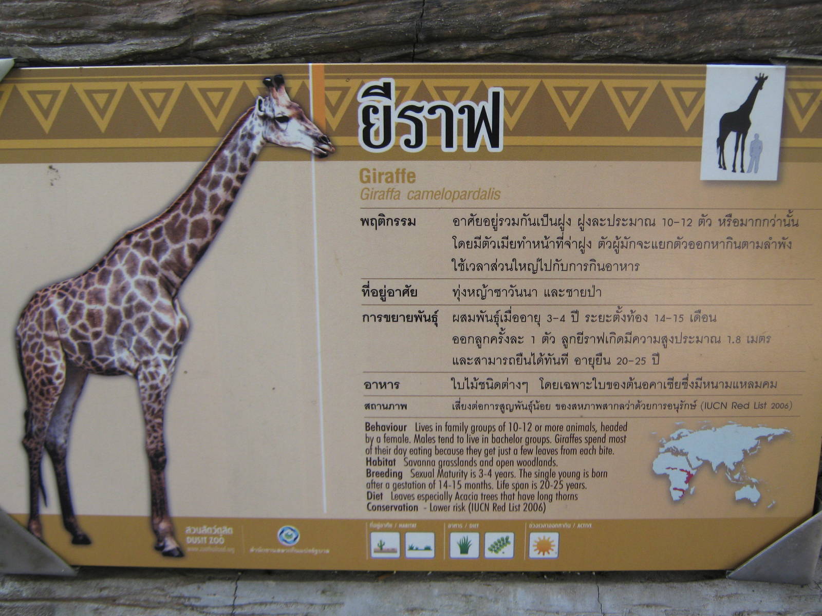 giraffe signage