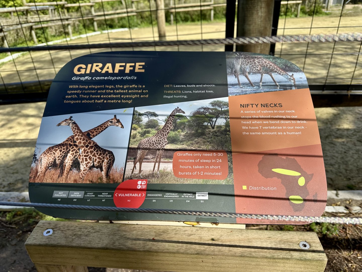 Giraffe Signage