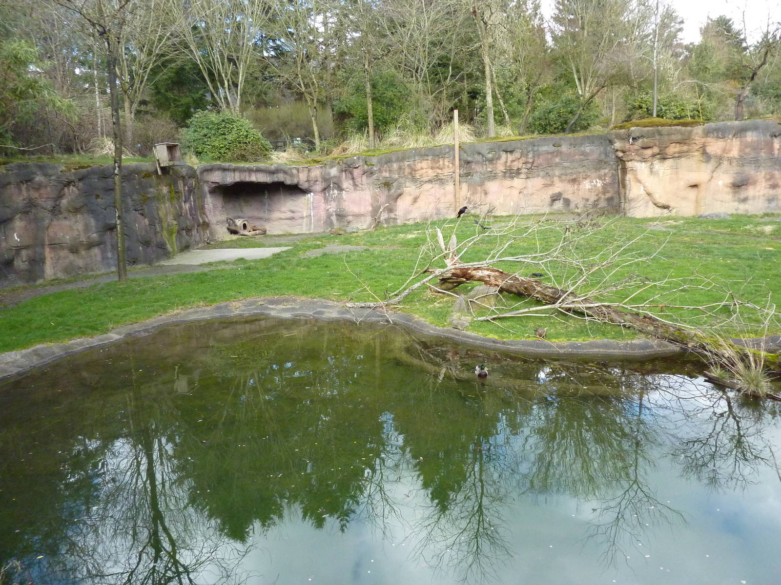 Giraffe/Speke's Gazelle/Ground Hornbill Exhibit