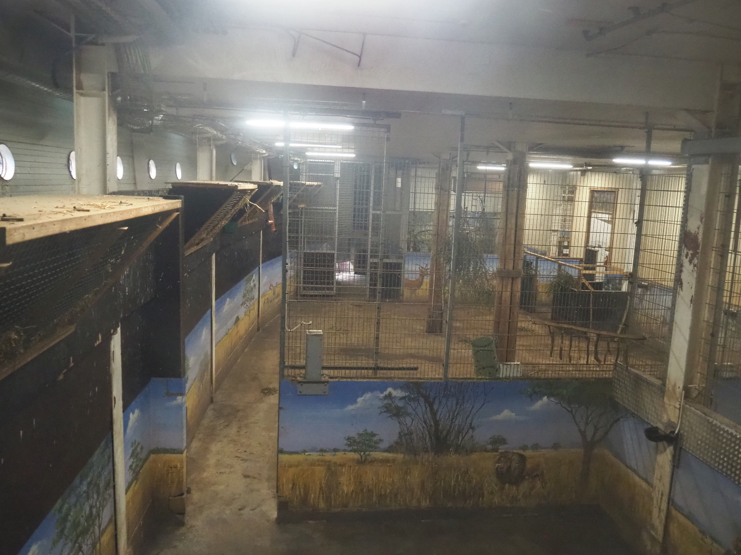 Giraffe stables in Mersus Emergo, 2022-09-14