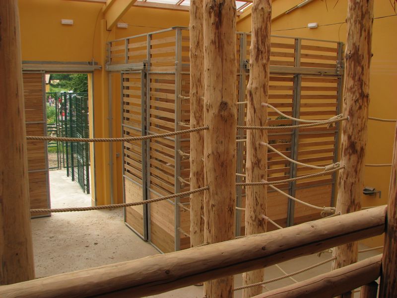 Giraffe stables - view from the 1st floor