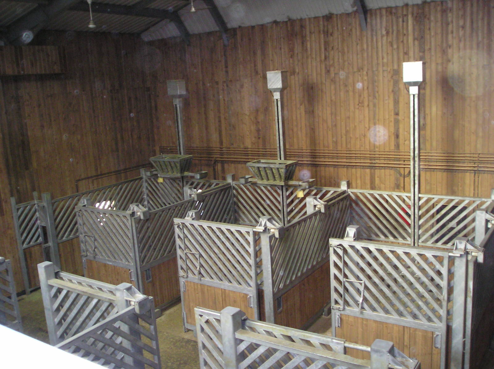 Giraffe stalls - Colchester 05