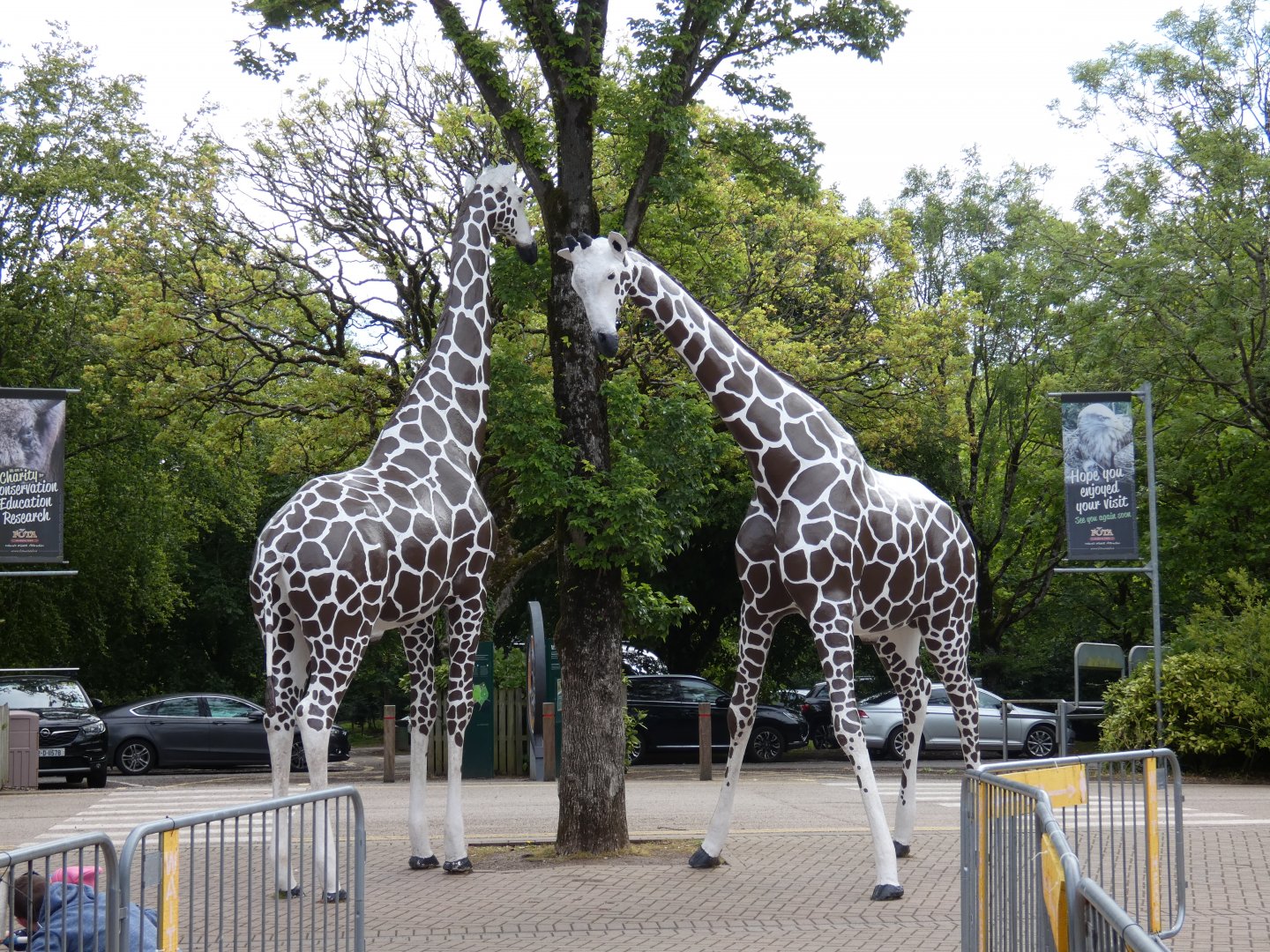 Giraffe statue at entrance