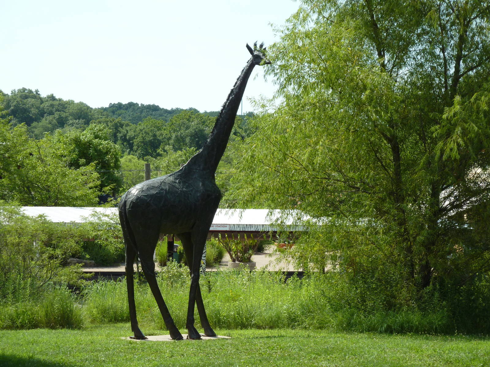 Giraffe Statue