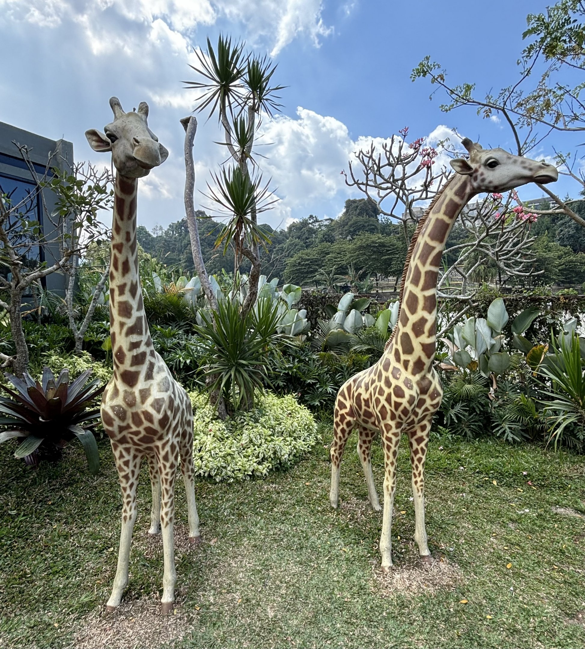 Giraffe Statues