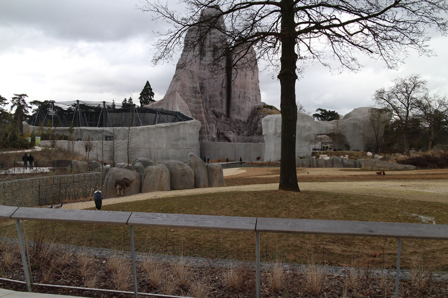 giraffe stork kudu ostrich exhibit