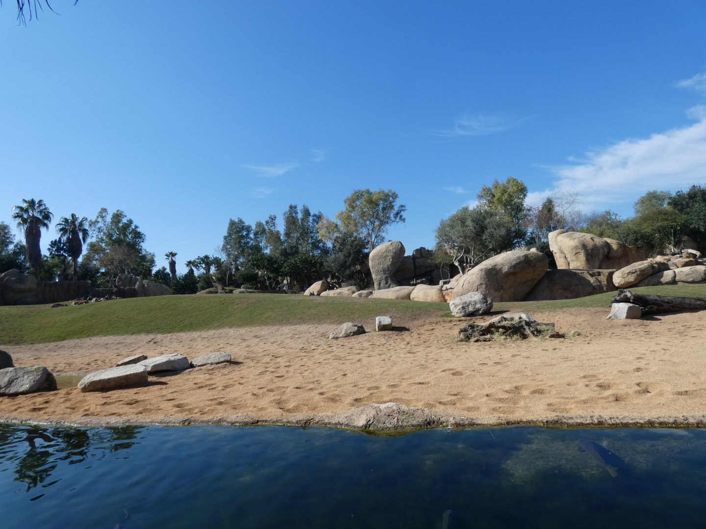 Giraffe, Thompsons Gazelle, Impala and Blesbok exhibit