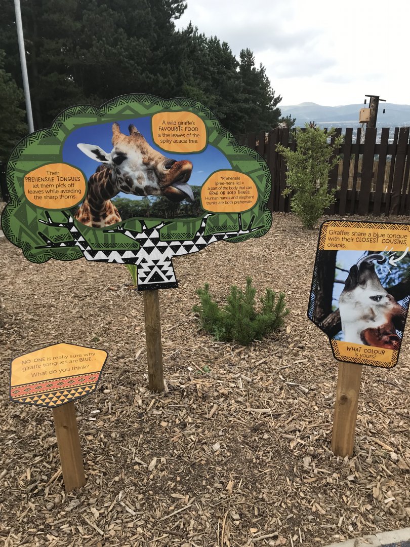 Giraffe tongue signage