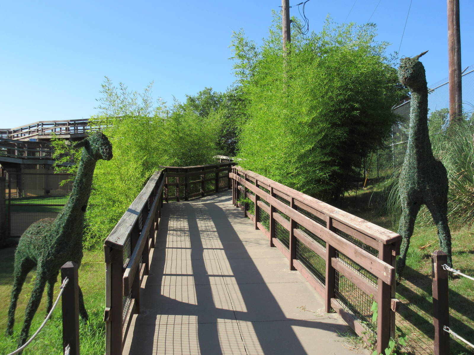 Giraffe Topiary Statues