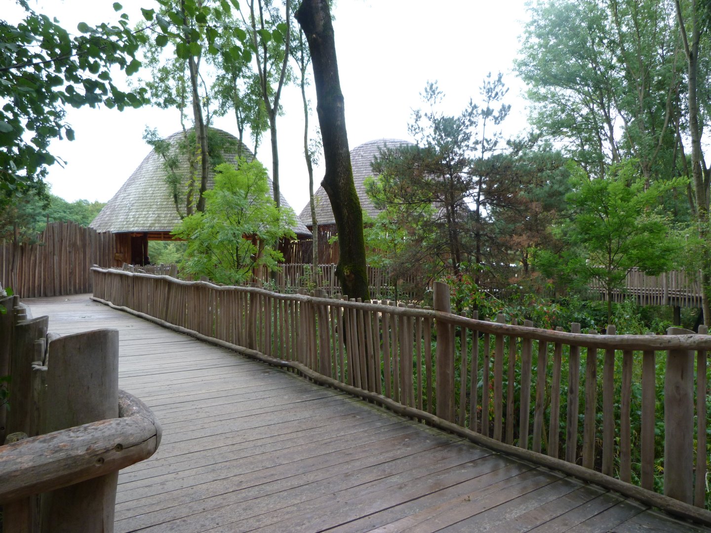"Giraffe Trail" view -Tierpark Berlin (2024)