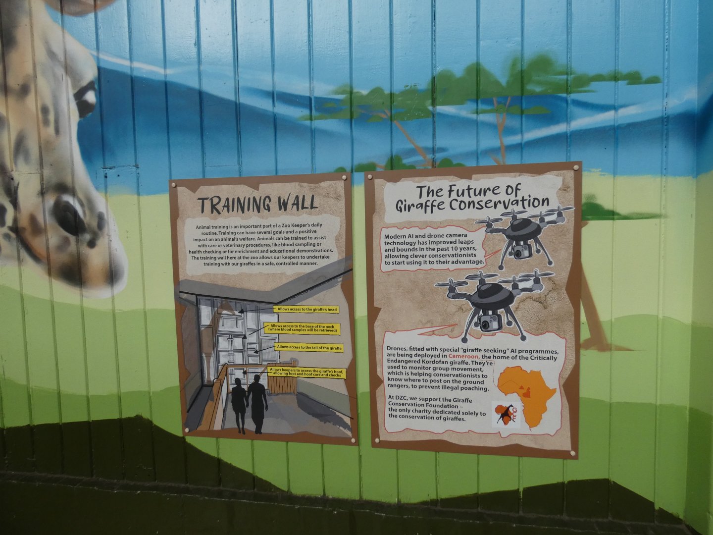 Giraffe training wall signage