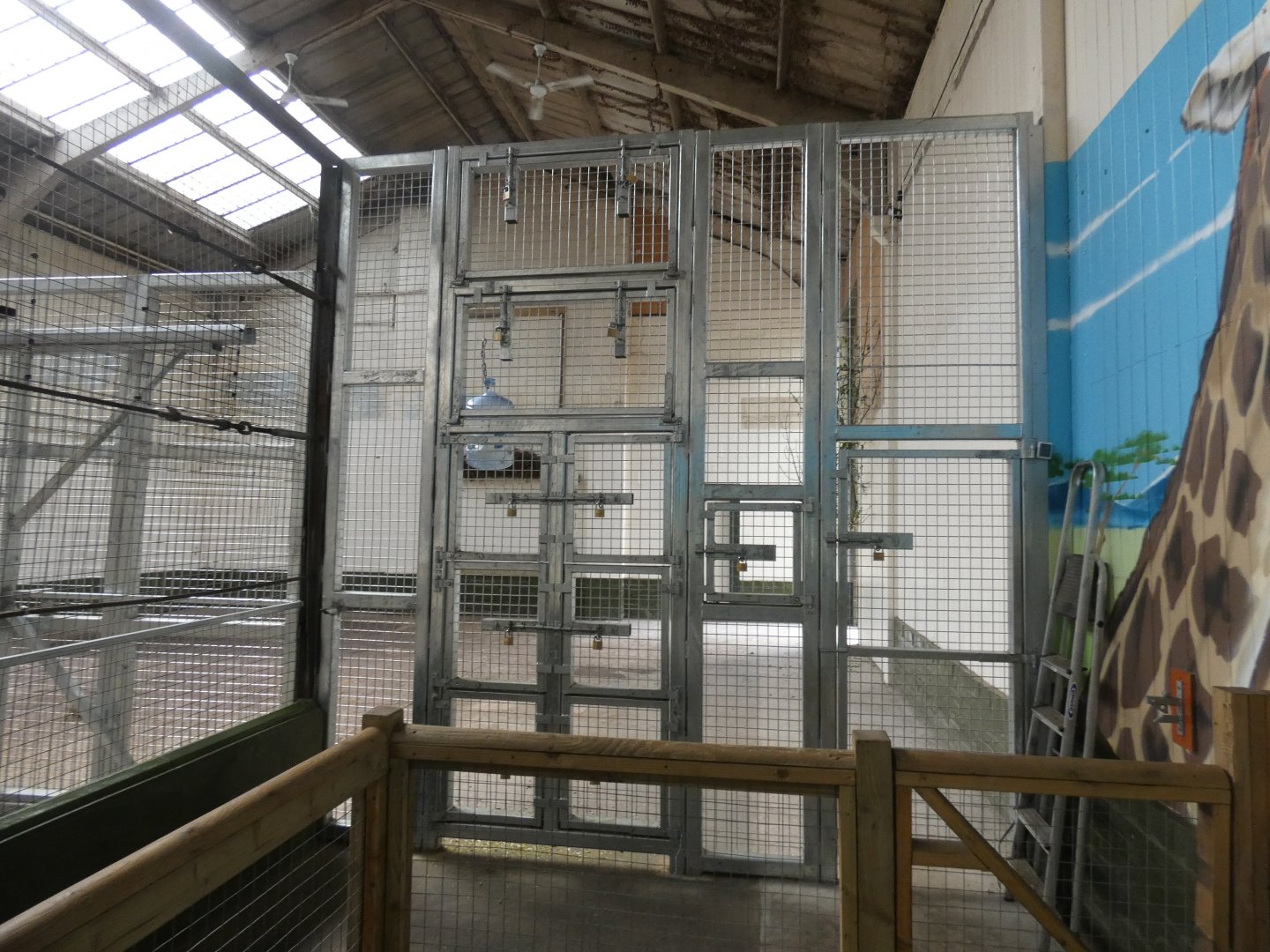 Giraffe training wall