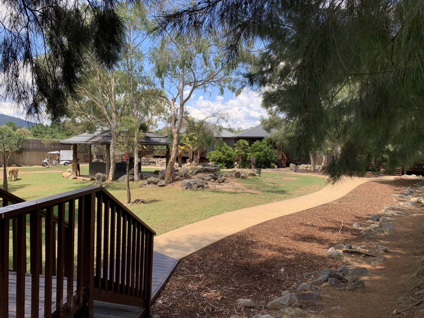Giraffe Treetops Entrance