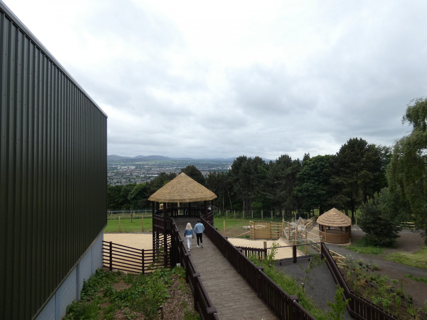 Giraffe viewing area