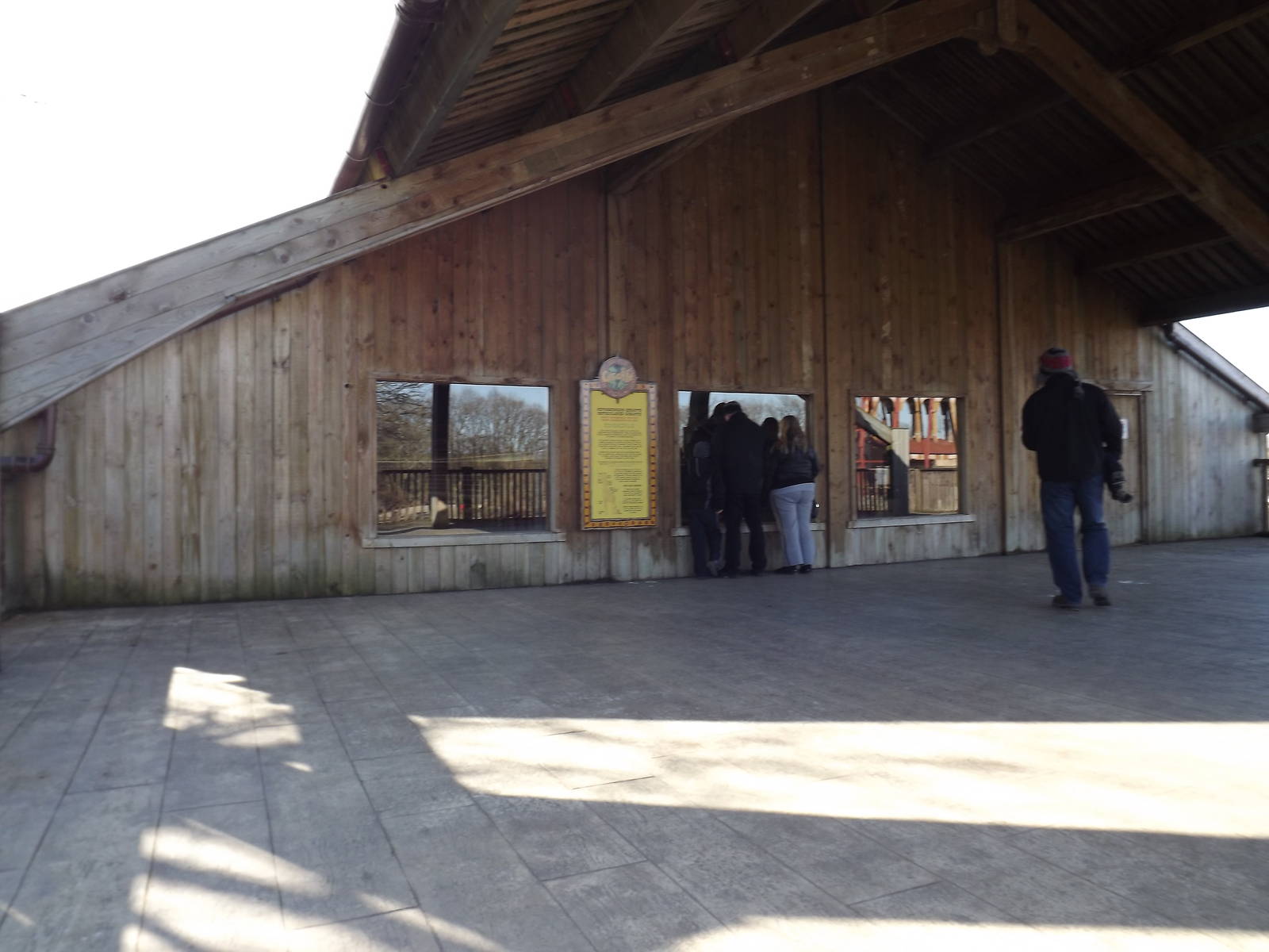 Giraffe viewing at Flamingoland 19/02/12