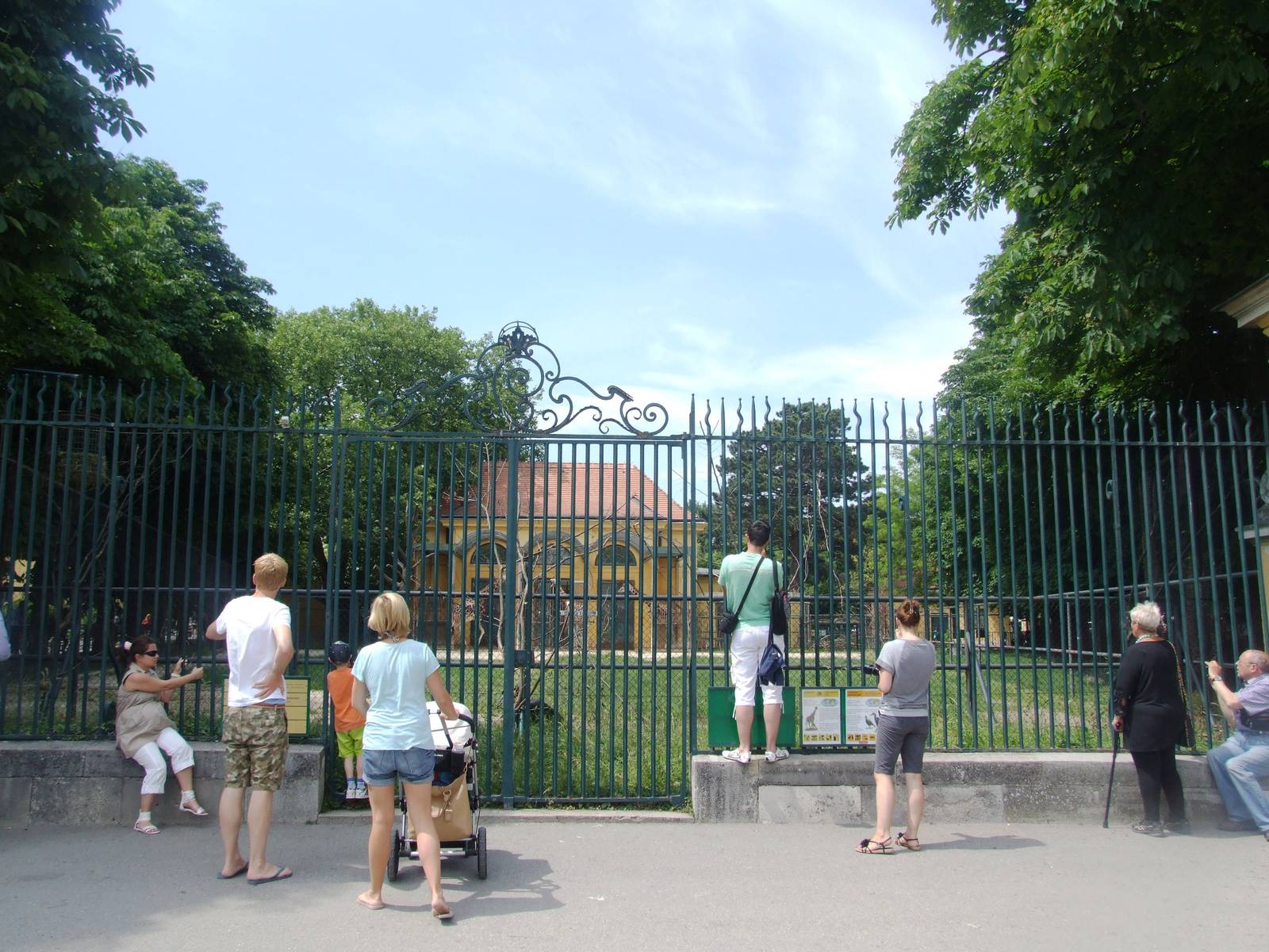 Giraffe Viewing at Vienna, 16/06/13