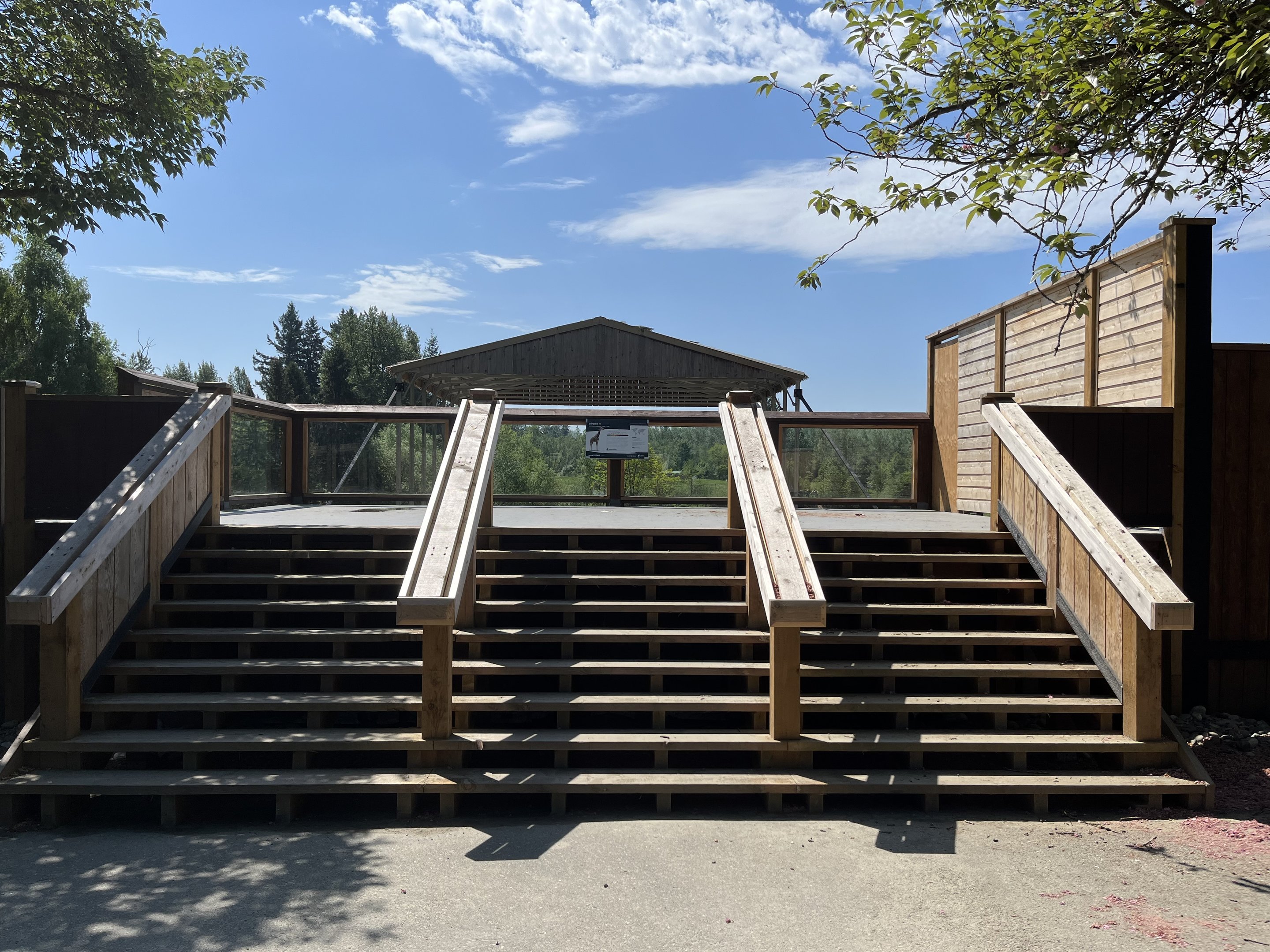 Giraffe Viewing Deck
